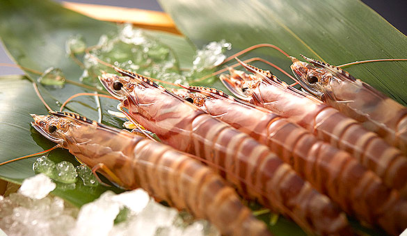 秋のお料理