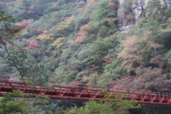 山口市湯田温泉周辺の紅葉スポット