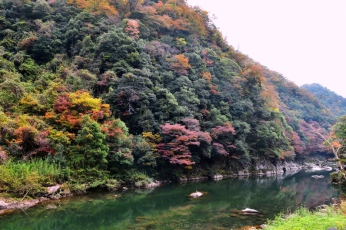 湯田温泉周辺の紅葉情報