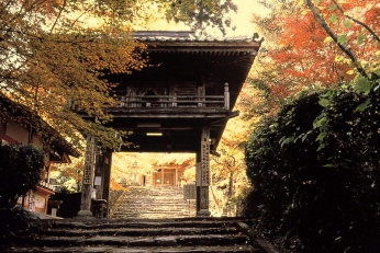 湯田温泉周辺の紅葉情報