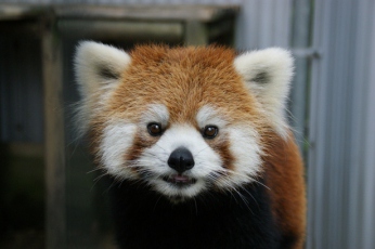 夏休みは山口で楽しもう＜松田屋スタッフのおススメ特集～動物園水族館編＞