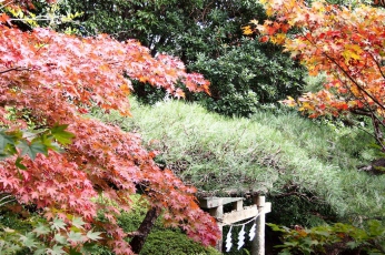 続　紅葉情報　松田屋ホテル編♪