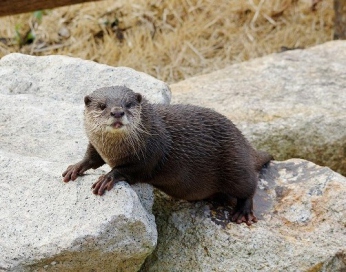 ときわ動物園のご紹介　