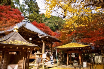 山口市湯田温泉周辺の紅葉スポット