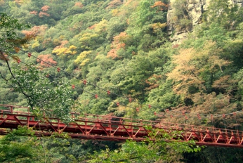 湯田温泉周辺の紅葉情報