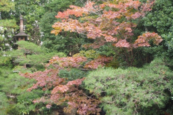 続　紅葉情報　松田屋ホテル編♪