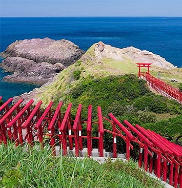 山口観光周遊バス「やまぐち絶景満喫バス」
土日祝、一名様から日帰り運行!(事前予約制)
